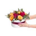 Box oranžových růží